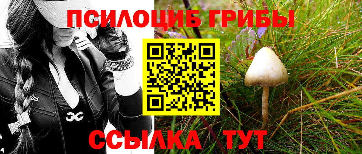 Псилоцибиновые грибы MAGIC MUSHROOMS Вольск