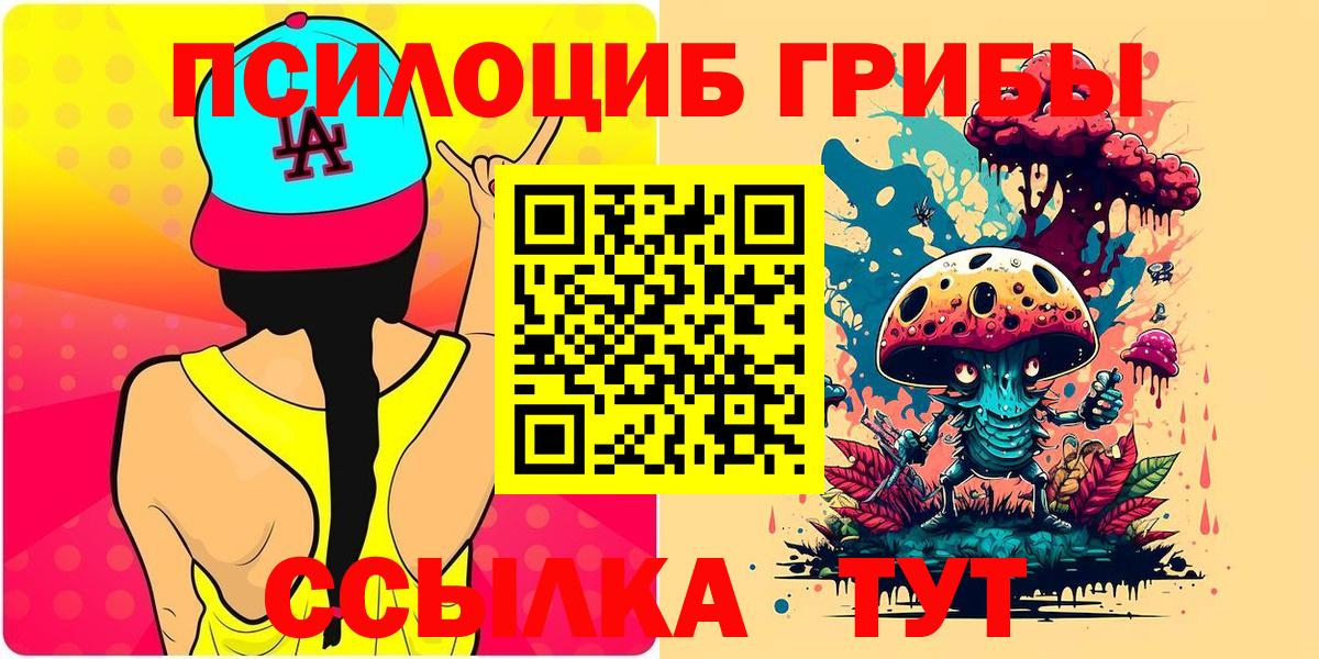 Галлюциногенные грибы мицелий  Псилоцибиновые грибы прущие грибы  Вход с VPN  Вольск 